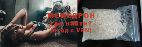 сатива Новозыбков