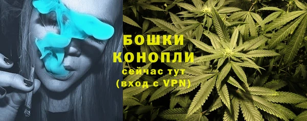 a pvp Абаза
