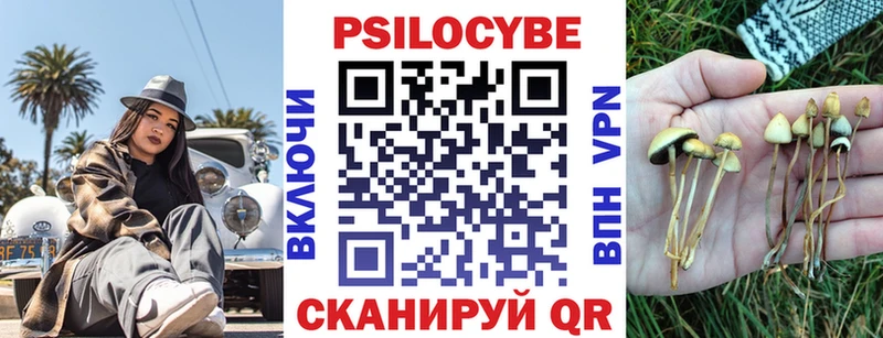 Галлюциногенные грибы Psilocybine cubensis  Урень 